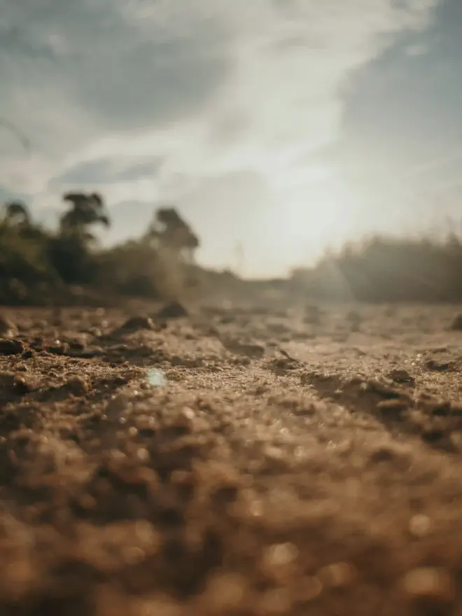 El suelo, imagen de Bruno Braga