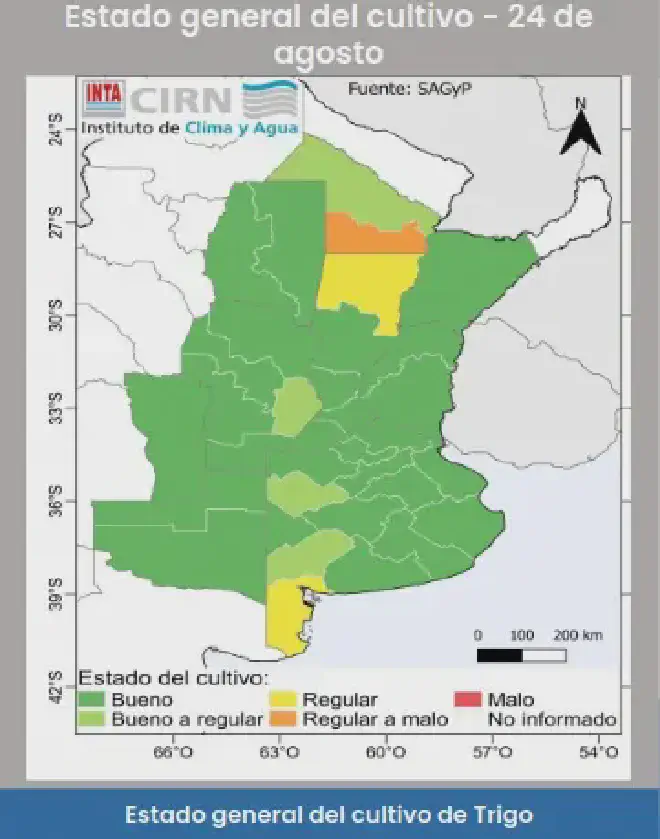 Estado del trigo
