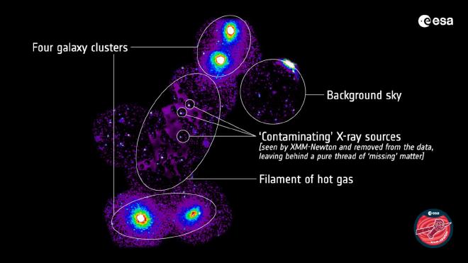Esta imagen muestra el nuevo filamento, que conecta cuatro cúmulos de galaxias: un par en un extremo y dos en el otro. Estos cúmulos son visibles como puntos brillantes en la parte inferior y superior del filamento (cuatro puntos blancos rodeados de color). Una banda moteada de color púrpura se extiende entre estos puntos brillantes, destacando con fuerza contra el cielo negro circundante. Este es el filamento de gas caliente emisor de rayos X que no se había visto antes y que contiene un trozo de materia «perdida». La banda púrpura comprende datos de Suzaku. Los astrónomos lograron identificar y eliminar cualquier posible fuente de contaminación de rayos X del filamento utilizando XMM-Newton, dejando tras de sí un hilo puro de materia faltante. Estas fuentes se pueden ver aquí como puntos brillantes que atraviesan y se eliminan de la emisión del filamento. Crédito: ESA/XMM-Newton e ISAS/JAXA