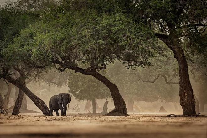 Los humanos aprendimos a prosperar en una variedad de entornos africanos antes de la exitosa expansión hacia Eurasia hace aproximadamente 50.000 años. Crédito de la imagen: Ondrej Pelanek y Martín Pelanek