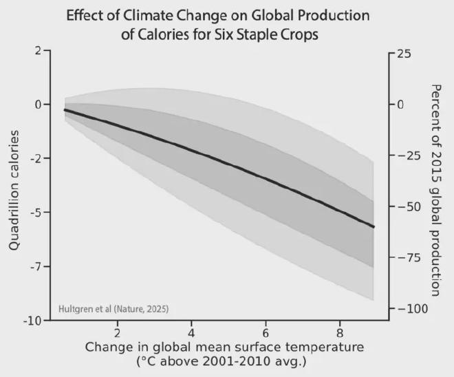 Un calentamiento global superior a los 2 grados Celsius por encima del promedio del período 2001-2010 probablemente reduciría la capacidad de producción mundial de alimentos de seis cultivos básicos en casi una cuarta parte. Adaptado de Hultgren et al. (Nature, 2025)