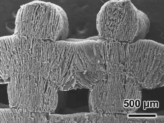 Lo que observamos no es una cadena de papel formada con el uso de una tijera; es un material impreso en 3D que absorbe el agua de mar, la purifica y la convierte en agua sin sal. Adaptado de ACS Energy Letters 2025, DOI: 10.1021/acsenergylett.5c01233