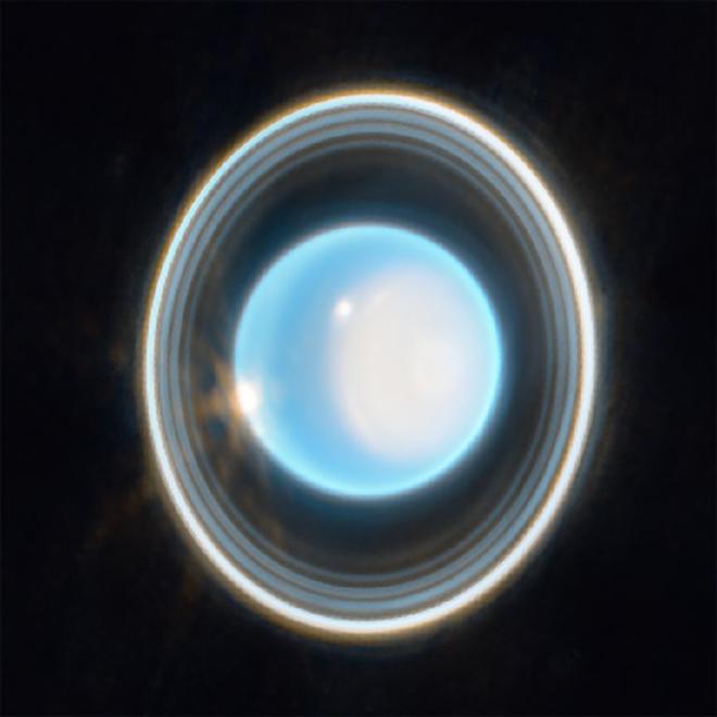 Esta imagen ampliada de Urano, capturada por la cámara de infrarrojo cercano del telescopio espacial James Webb de la NASA el 6 de febrero de 2023, revela impresionantes vistas de los anillos de Urano. Créditos: NASA, ESA, CSA, STScI