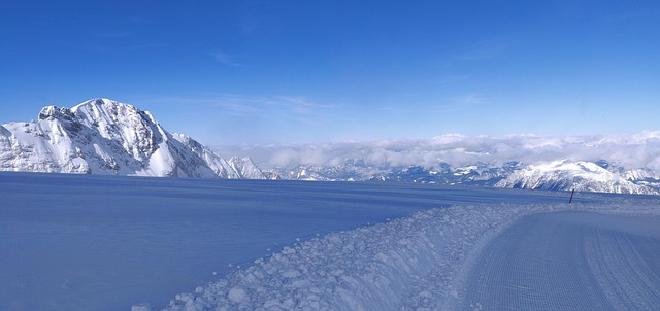 Imagen de tbasien en Pixabay