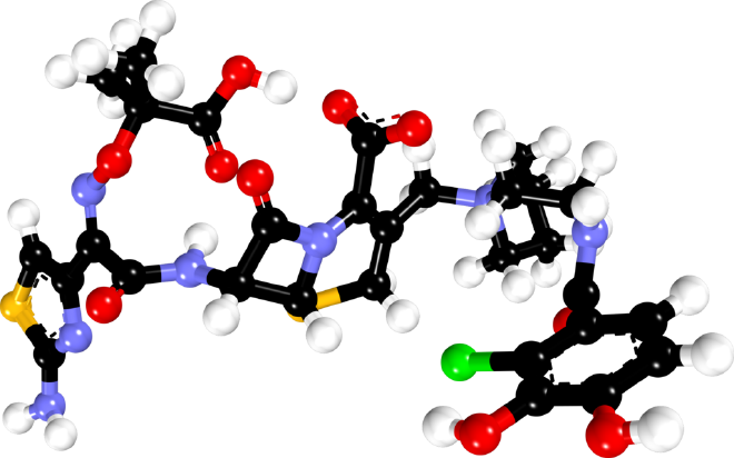 Modelo de bolas y varillas de cefiderocol obtenido de PubChem CID 77843966. Se optimizó la geometría con Avogadro2 (energía final MMFF94 de 55,416). La imagen se creó con BIOVIA Discovery Studio Visualizer y se recortó con GIMP. Crédito: Fuse809