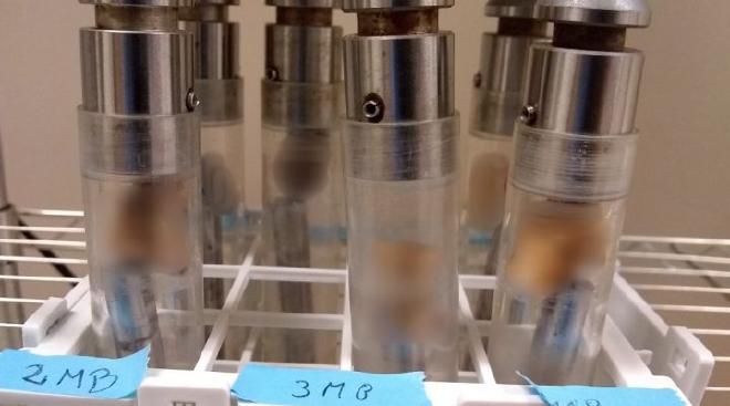 Tubos con muestras genéticas. Foto: gentileza IDACOR