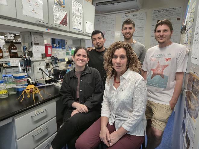 Fernanda Ceriani (centro) junto a Micaela Rodríguez-Caron, Christian Carpio Romero, Francisco Tassara y Julián Gargiulo, también autores del artículo publicado en Current Biology. Lograron observar los cambios, según el momento del día, en las células que regulan los ritmos biológicos. Crédito de la imagen: Fundación Instituto Leloir