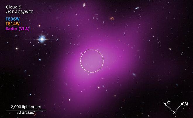 Esta imagen muestra la ubicación de Cloud-9, que está a 2.000 años luz de la Tierra. La imagen fue etiquetada como &ldquo;Cloud 9 HST ACS WFC&rdquo;. Debajo, una clave de color muestra F606W en azul, F814W en naranja y Radio VLA en morado. Una región del espacio está mayormente llena de galaxias de fondo, con una estrella prominente en la esquina superior izquierda. Una gran mancha de neblina morada ocupa gran parte del campo. Dentro de la región morada, un área poco destacable está delimitada por un círculo blanco discontinuo. Abajo a la izquierda, una barra de escala que se extiende aproximadamente un sexto de la imagen está etiquetada como 2000 años luz y 30 segundos de arco. Abajo a la derecha, se ven los detalles de la brújula: el este apunta a las 10 en punto y el norte a las 2 en punto. Crédito de la imagen: NASA, ESA. G. Anand (STScI), y A. Benitez-Llambay (Univ. of Milan-Bicocca); Procesamiento de la imagen: J. DePasquale (STScI)