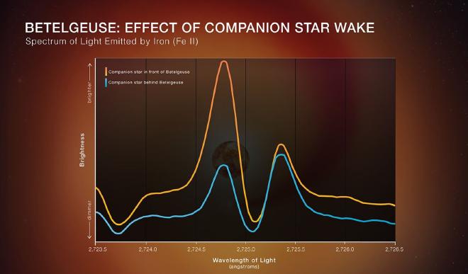 Los científicos utilizaron el Telescopio Espacial Hubble, de la NASA y la ESA, para buscar pruebas de una estela generada por una estrella compañera orbitando Betelgeuse. El equipo encontró una diferencia notable en la luz mostrada en el pico izquierdo cuando la estrella compañera estaba en diferentes puntos de su órbita. Ilustración: NASA, ESA, Elizabeth Wheatley (STScI); Ciencia: Andrea Dupree (CfA)