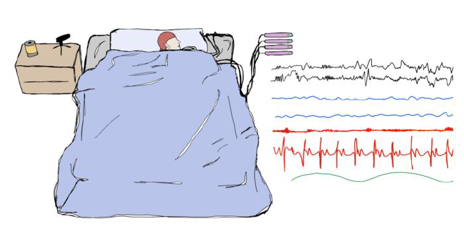 Ilustración del entorno de investigación donde se realizó el estudio. Crédito de la imagen: Valentina Elce